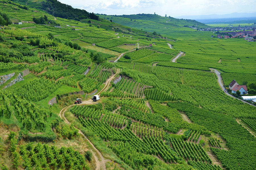 route-des-vins-alsace